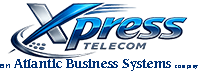 Business Phone System Repair